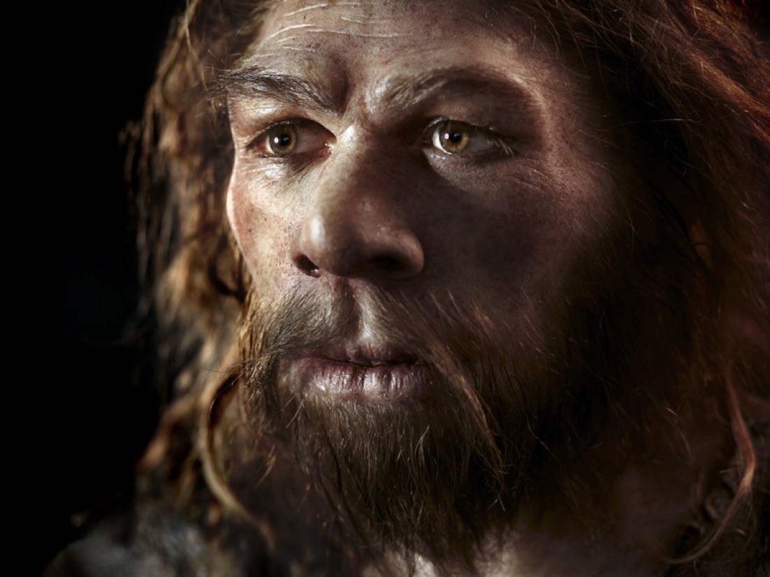 Ağrı Duyarlılığı ile İlgili Neandertal Geni Aktüel Arkeoloji