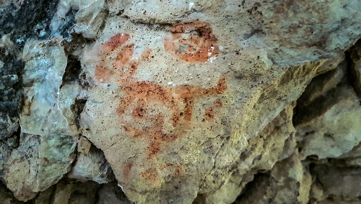 Prehistorik Mağara Resimleri Bulundu » Aktüel Arkeoloji