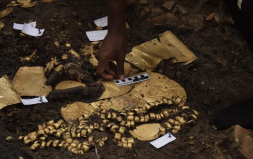 Panama’da Altınlarla Süslenmiş Bir Mezar Bulundu