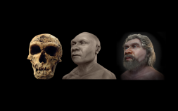 56 Bin Yaşındaki Neandertal'in Yüzü Yeniden Yaratıldı