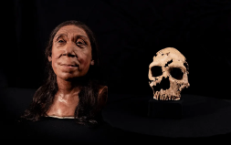 75 Bin Yıl Önce Yaşamış Bir Neandertal’in Yüzü Yeniden Canlandırıldı