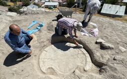 Elazığ'da 6 Bin Yıllık "Boğa Başlı Sunak" Bulundu