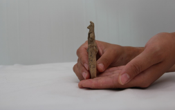 Ulucak Höyüğü Kazılarında 8 Bin Yıllık Kil Figürin Bulundu