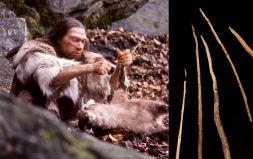 200 Bin Yıllık Ahşap Mızraklar Neandertaller Tarafından Kullanılmış Olabilir