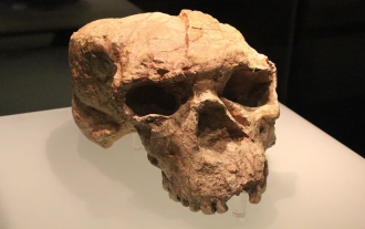 cin-de-bulunan-bir-kafatasi-homo-sapiens-in-tarihini-yeniden-yaziyor