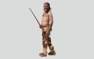 buz-adam-otzi-ve-komsulari-tamamen-farkli-atalara-sahipti