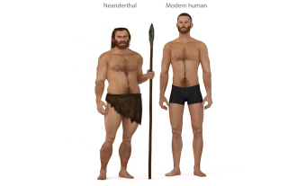 neandertaller-ile-homo-sapiensler-arasindaki-fark-nedir