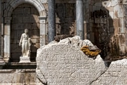SAGALASSOS